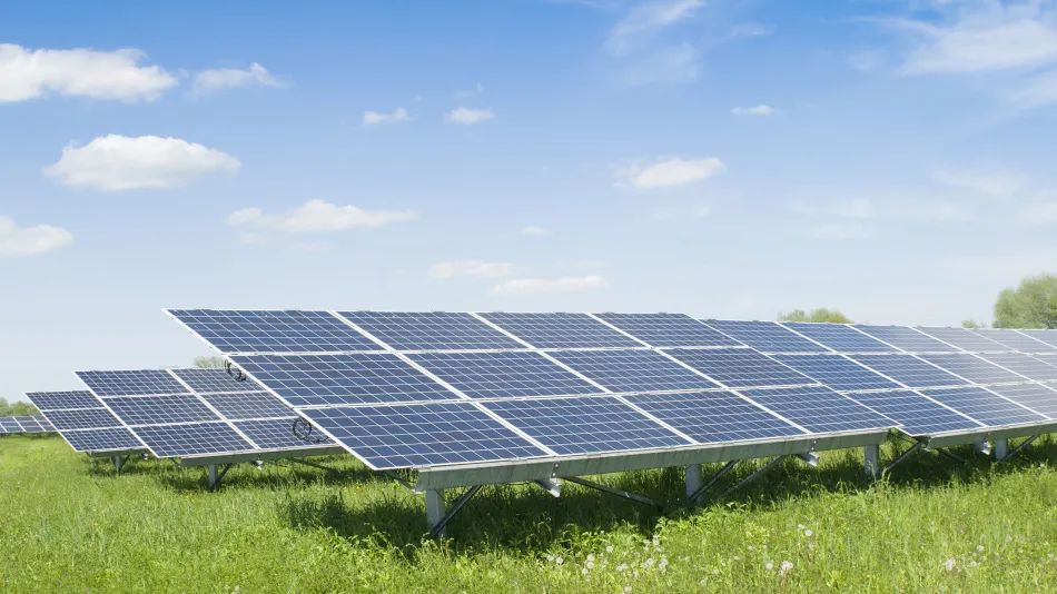 ������(�й���)���޹�˾����